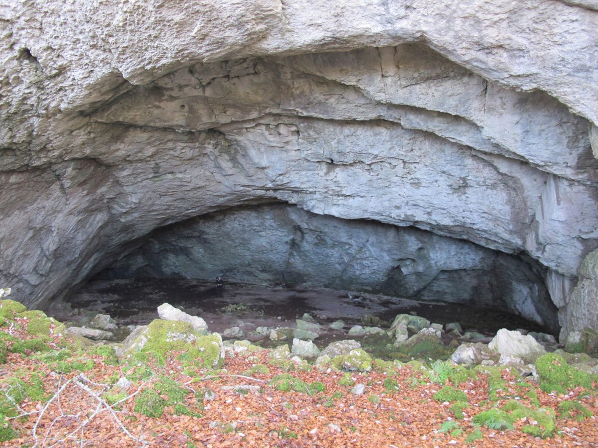 Amurutxateko Koba, Erregenea