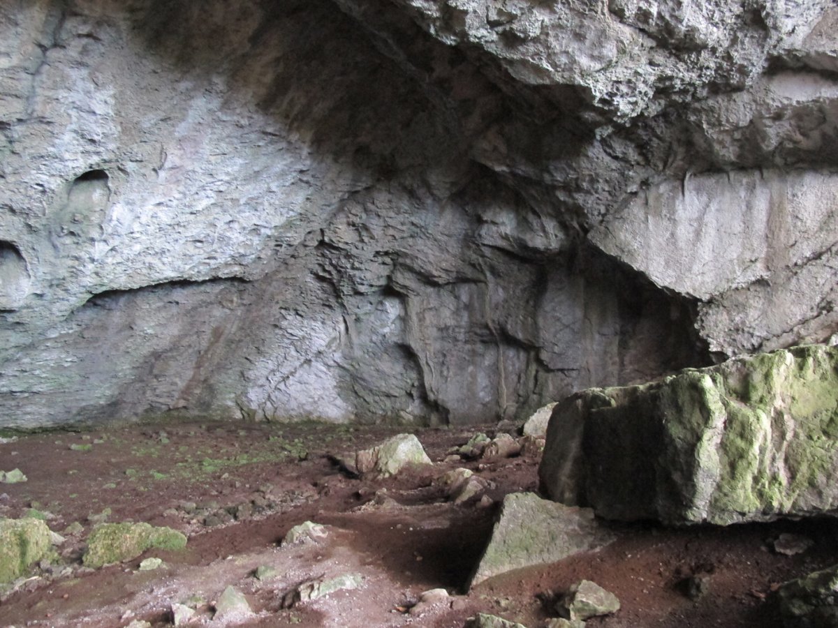 Amurutxateko koba, Erregenea