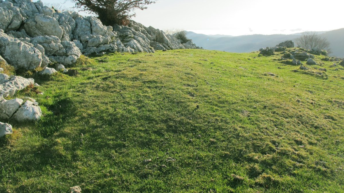 Murkuruko Arripila etxola hondoa, Erregenea
