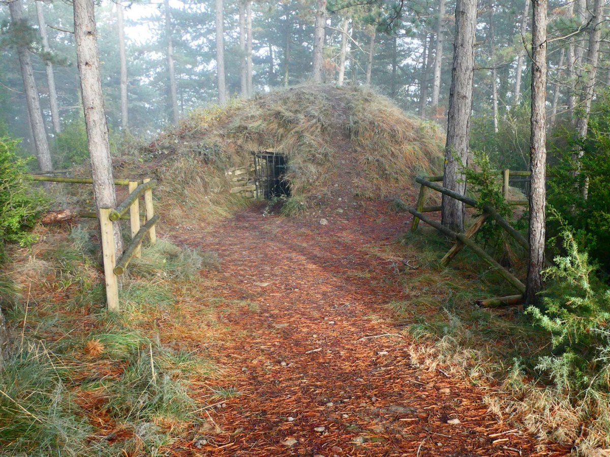 Agoizko Elurtegia, Agoitz