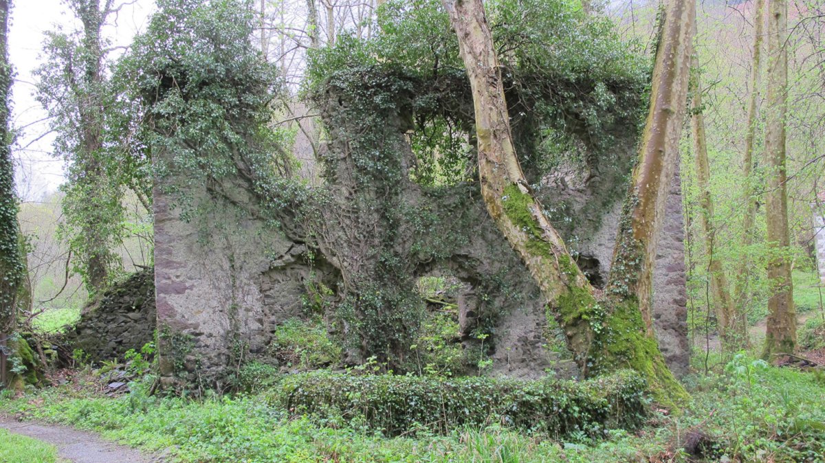 Behekoa errotaren hondakinak, Etxalar