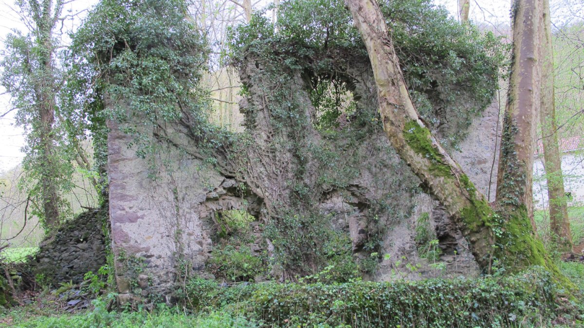 Behekoa errotaren hondakinak, Etxalar