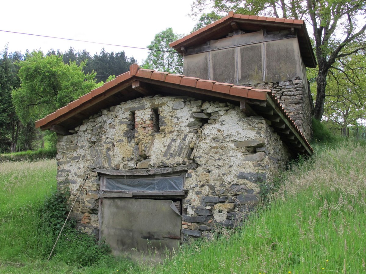 San Ignazio karobia, Bedaio Tolosa