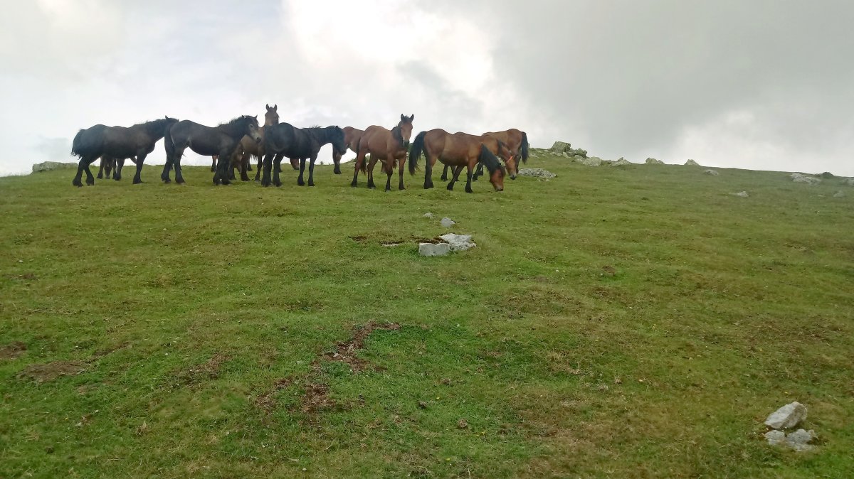 Behokak Aitzkoa gainean