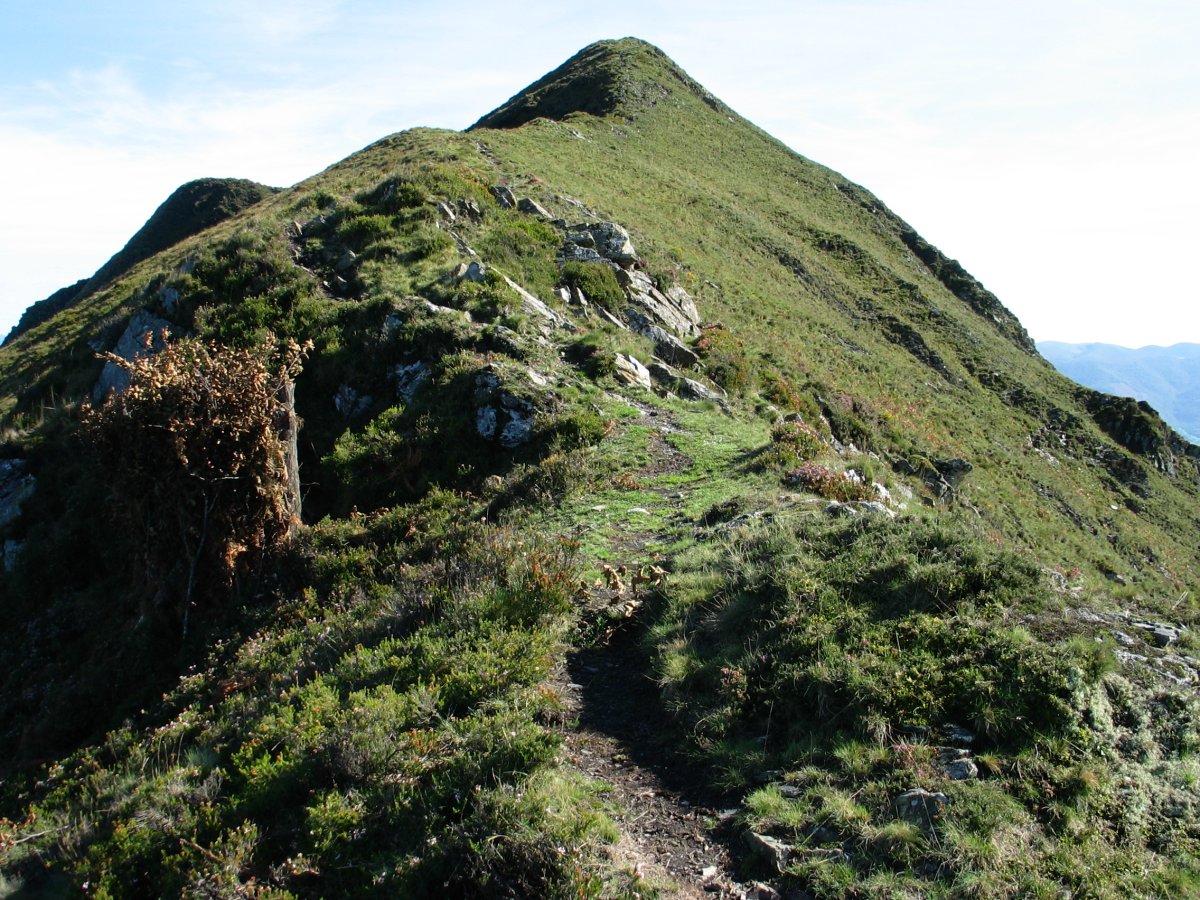 Tontorrerako azken txanpa, Mtik