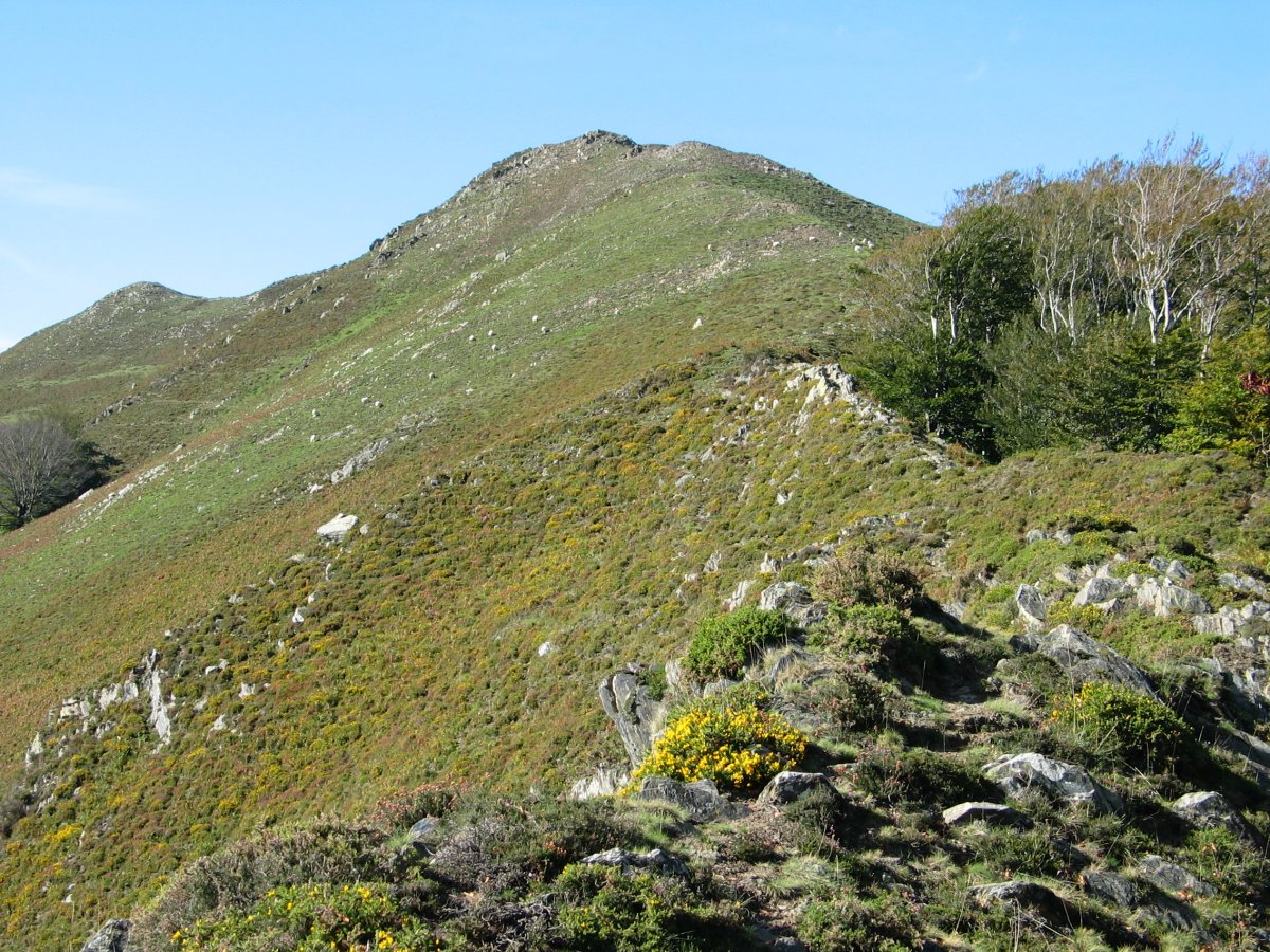 Hegoaldeko hegitik ikusita