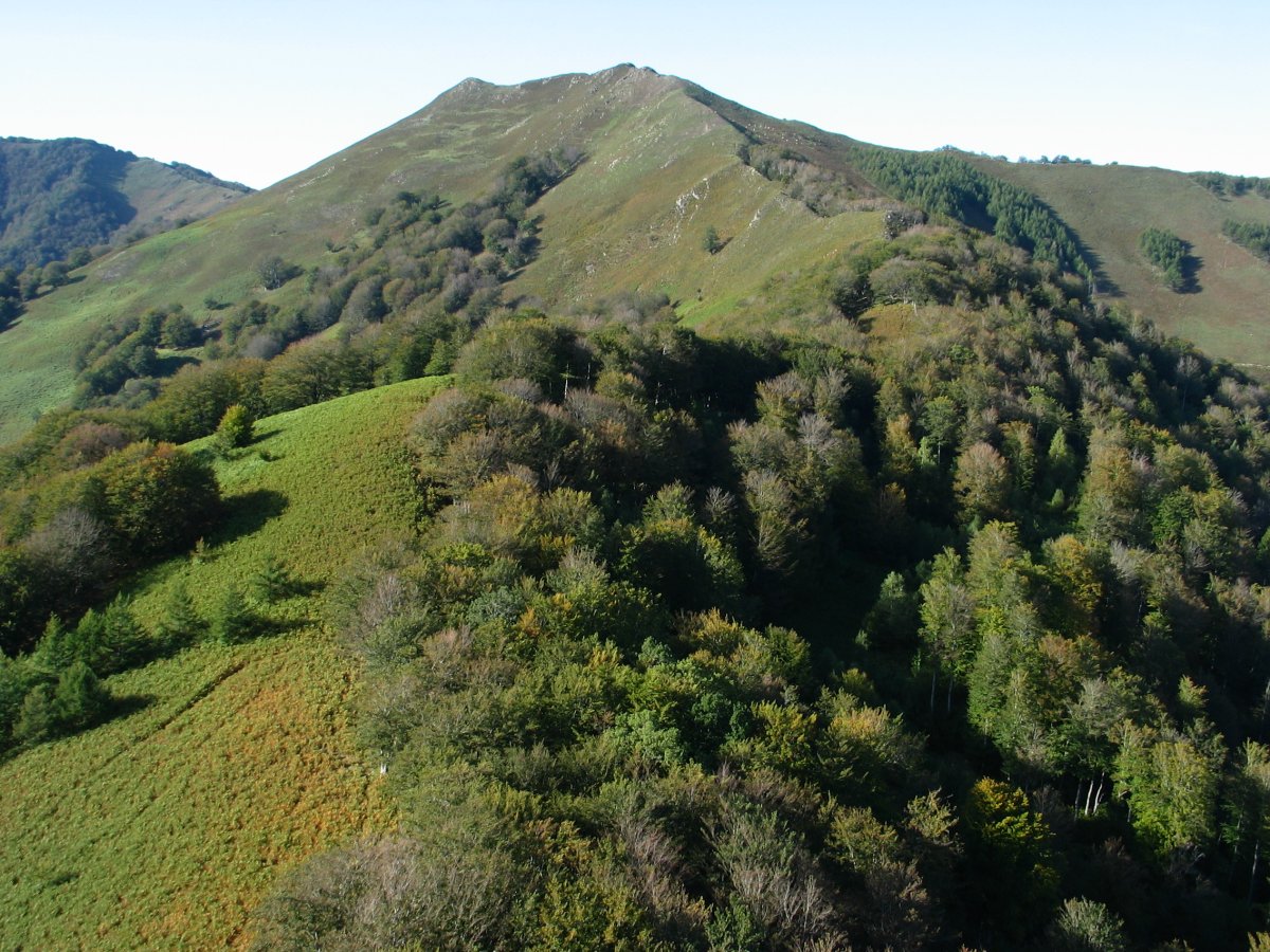 Oltzorrotzetik ikusita