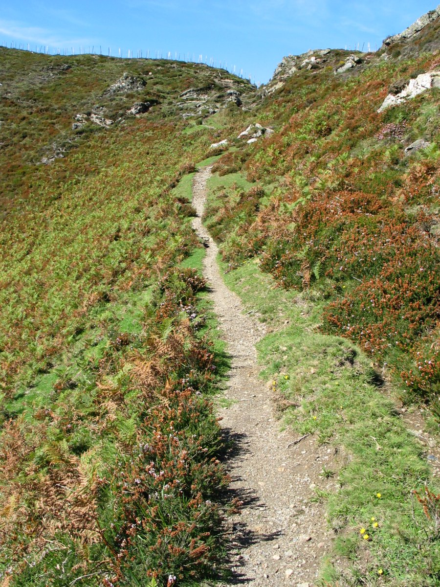 Zubietako aldeko bizkarrean gora zetorren bide zaharra
