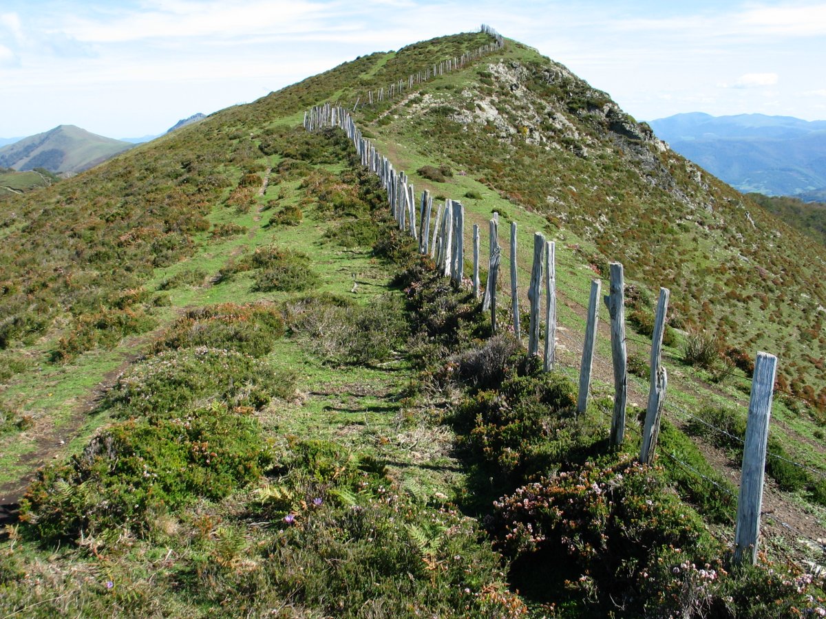 Tontorra Mendebaldetik