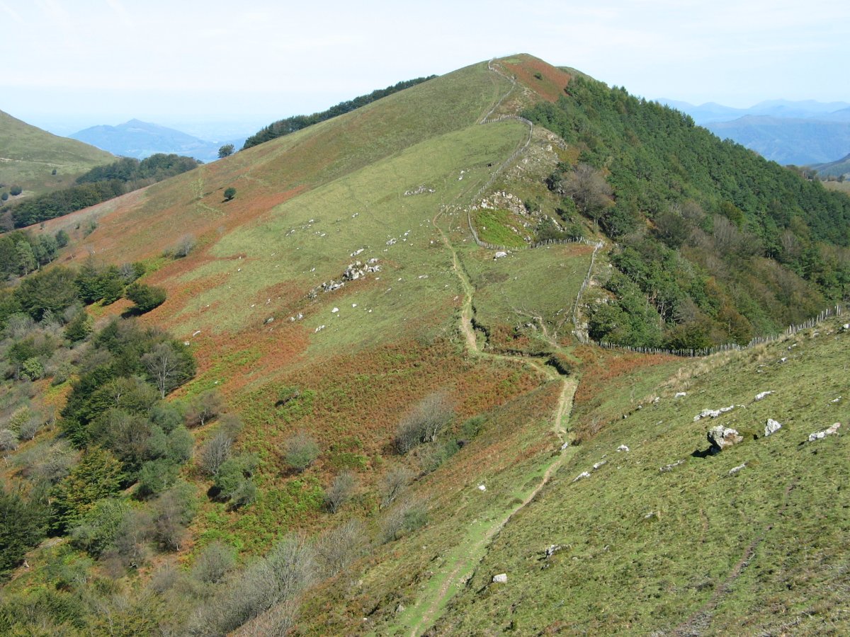 Arainburu Loitzate aldetik