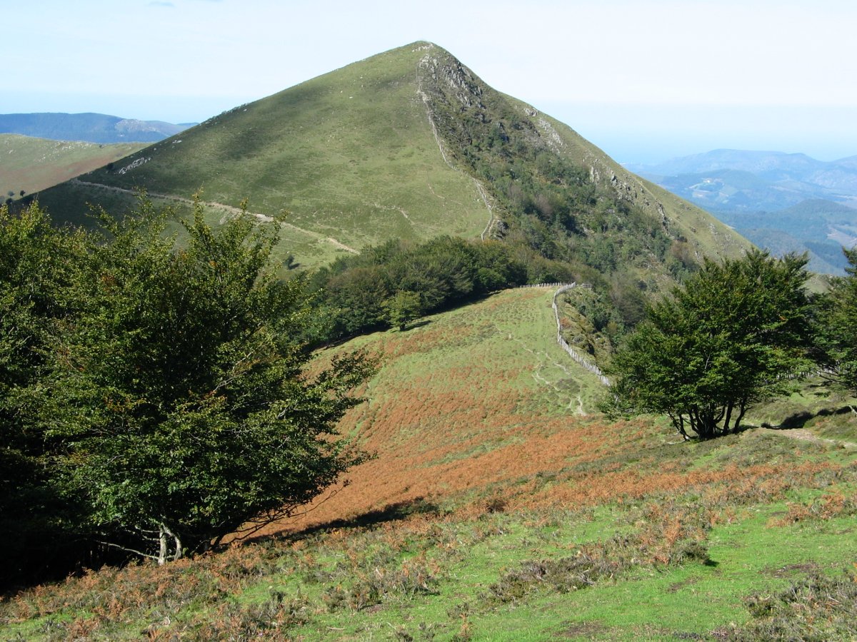 Komizko Gaina,  Hegoaldetik