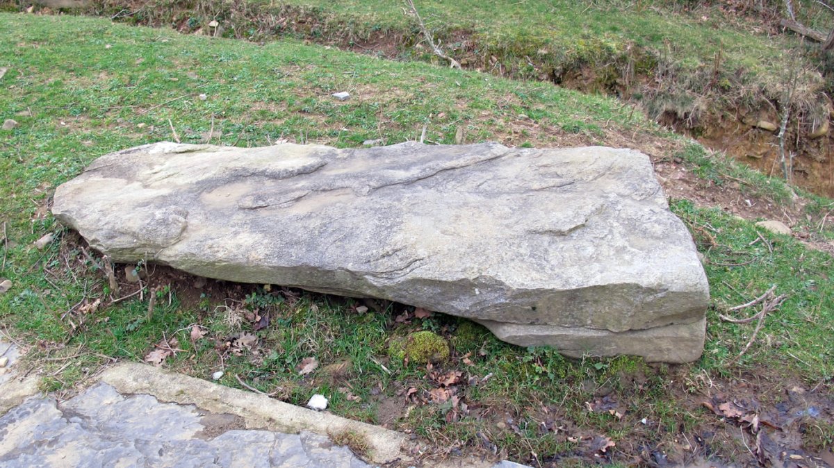 Trikuharriaren kamarako harri bat