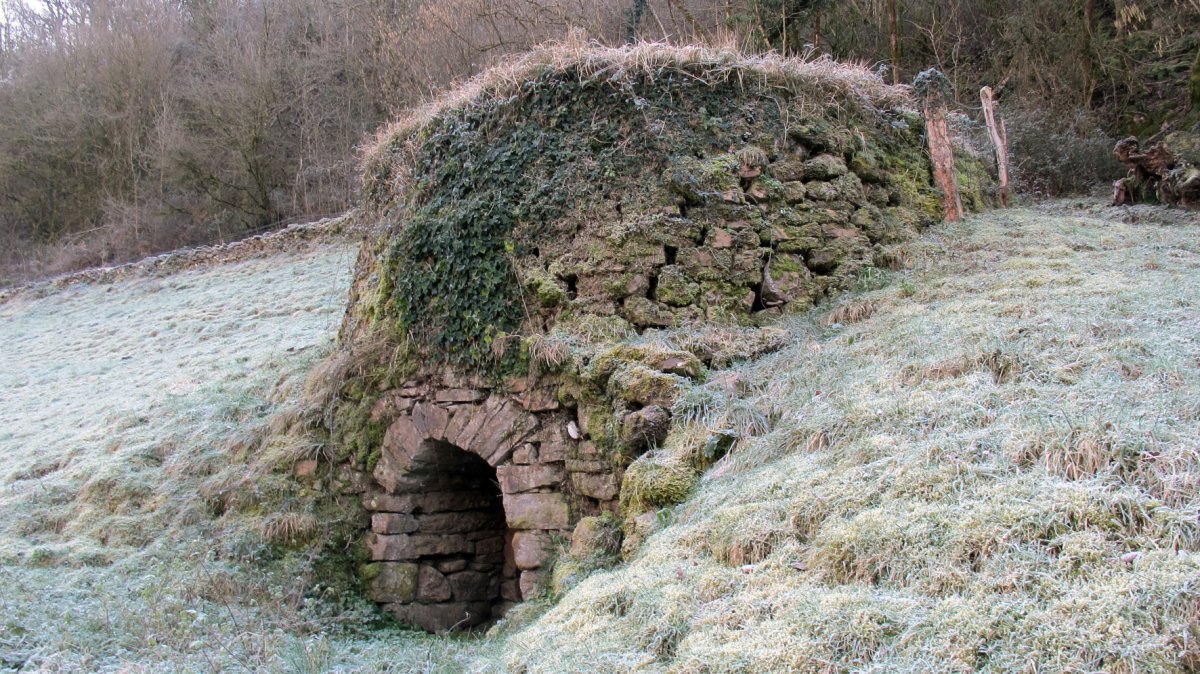 Ugaldea karobia, Arraioz-Baztan