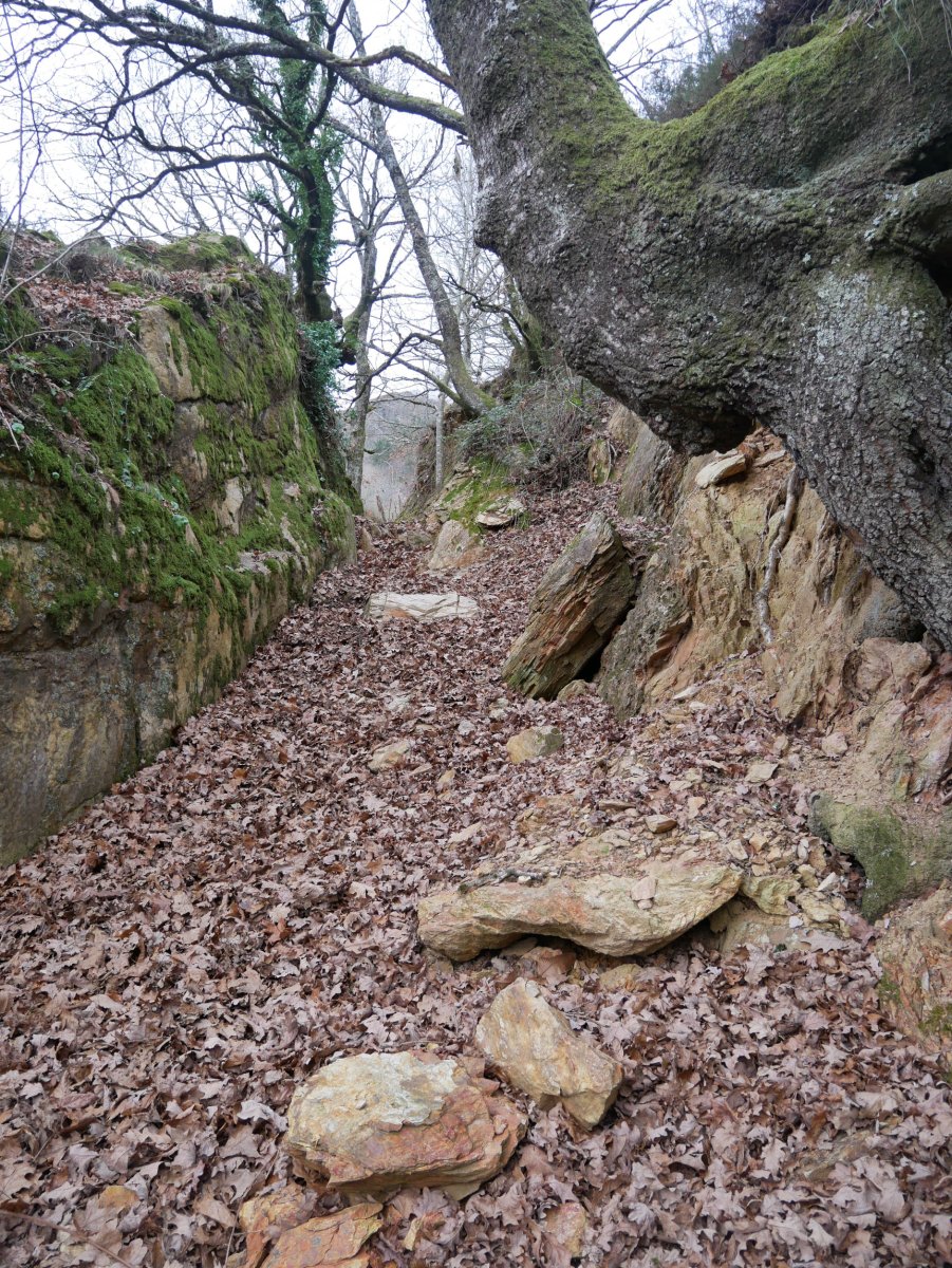 Harrizko estrataren beste pasarte bat Irazabalgo bidean