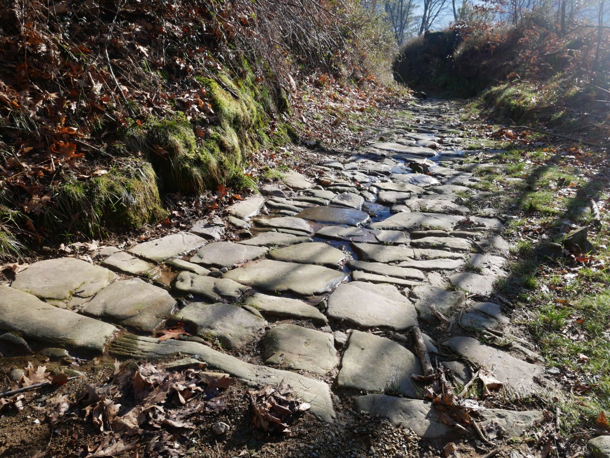 Beste harrizko estrata pasarte bat