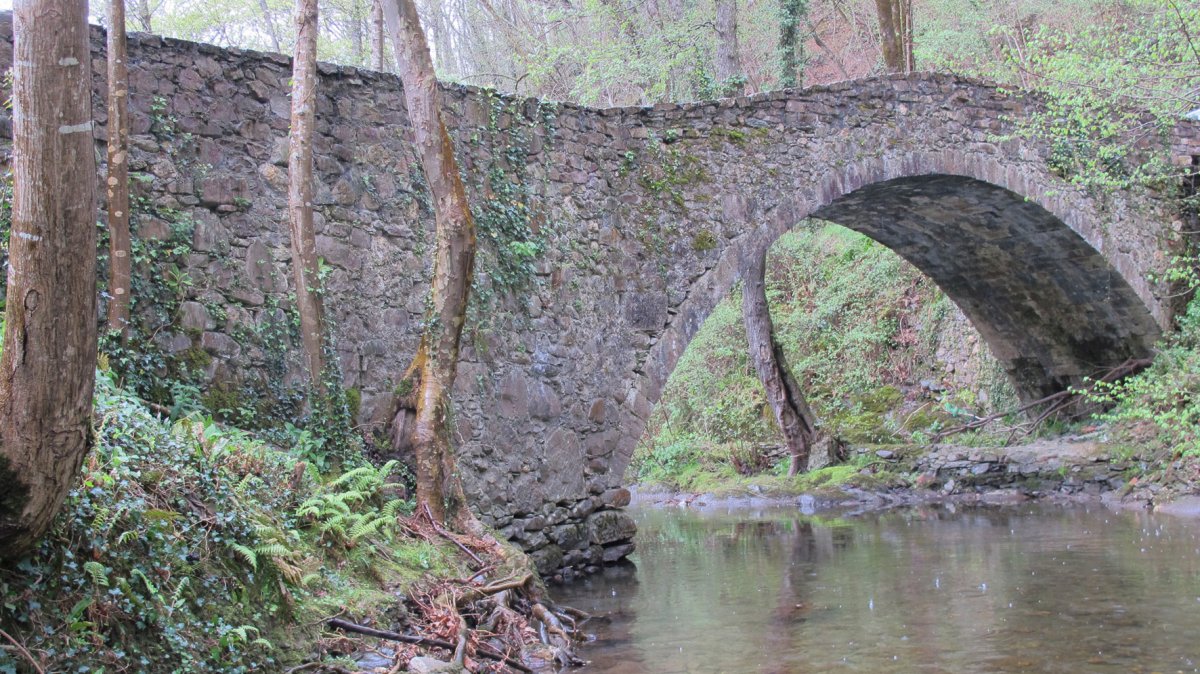 Santa Krutz zubia, Etxalar