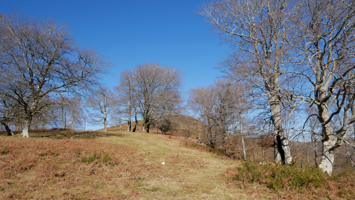 Lizartzeta, HEkialdeko bizkarretik