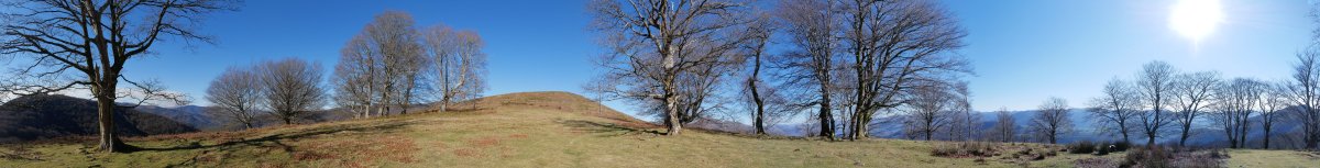 Lizartzeta gaina, Haldeko bizkarretik