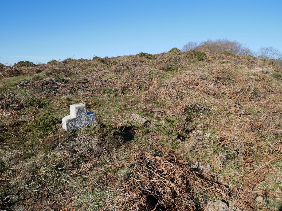 Harrizko gurutze zaharra gailurretik gertu, Zubietara begira
