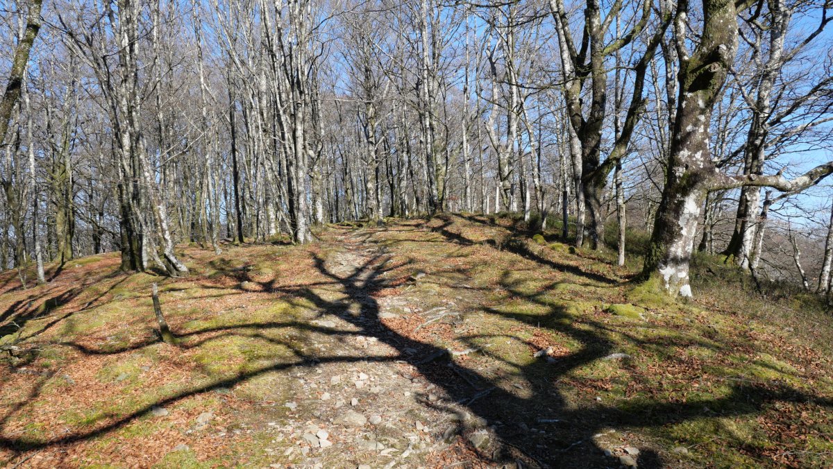 Bizkarreko bideko pasarte bat