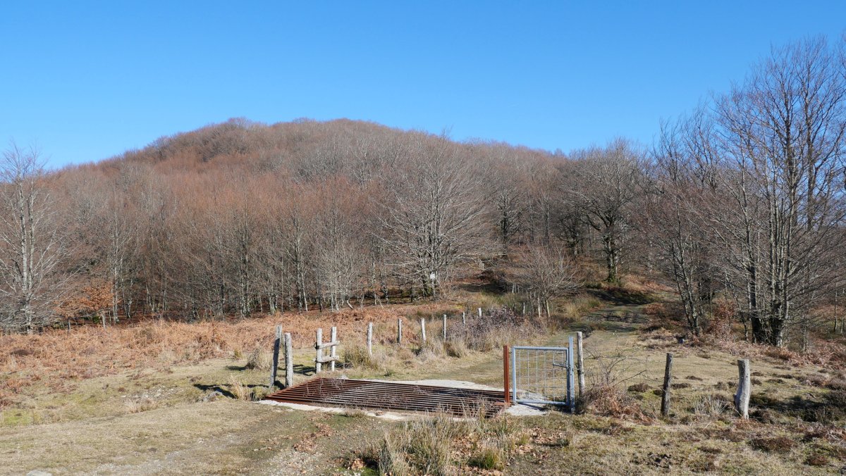 Azako Mehakako lepoa