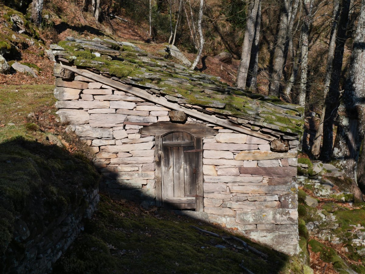 Borda askok dute aurrean txikiago bat