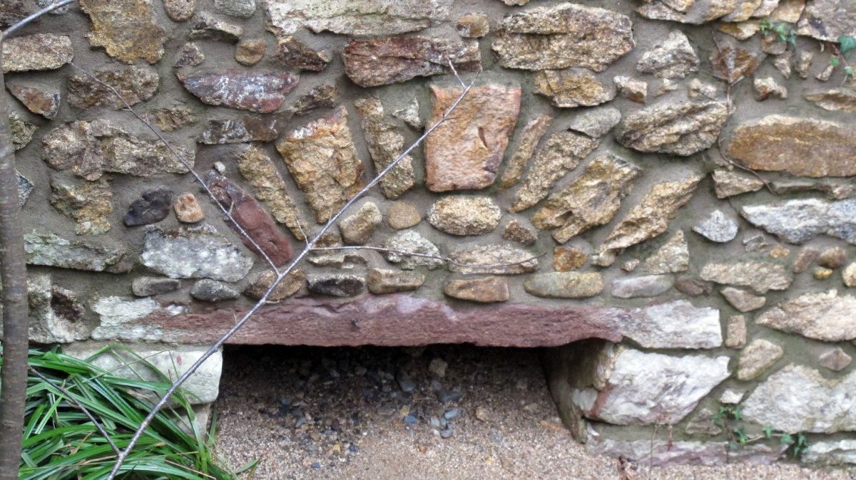 Endaraberea errota, Lesaka