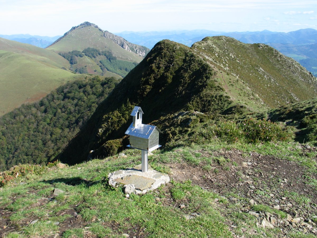 Desagertutako txartelontzia