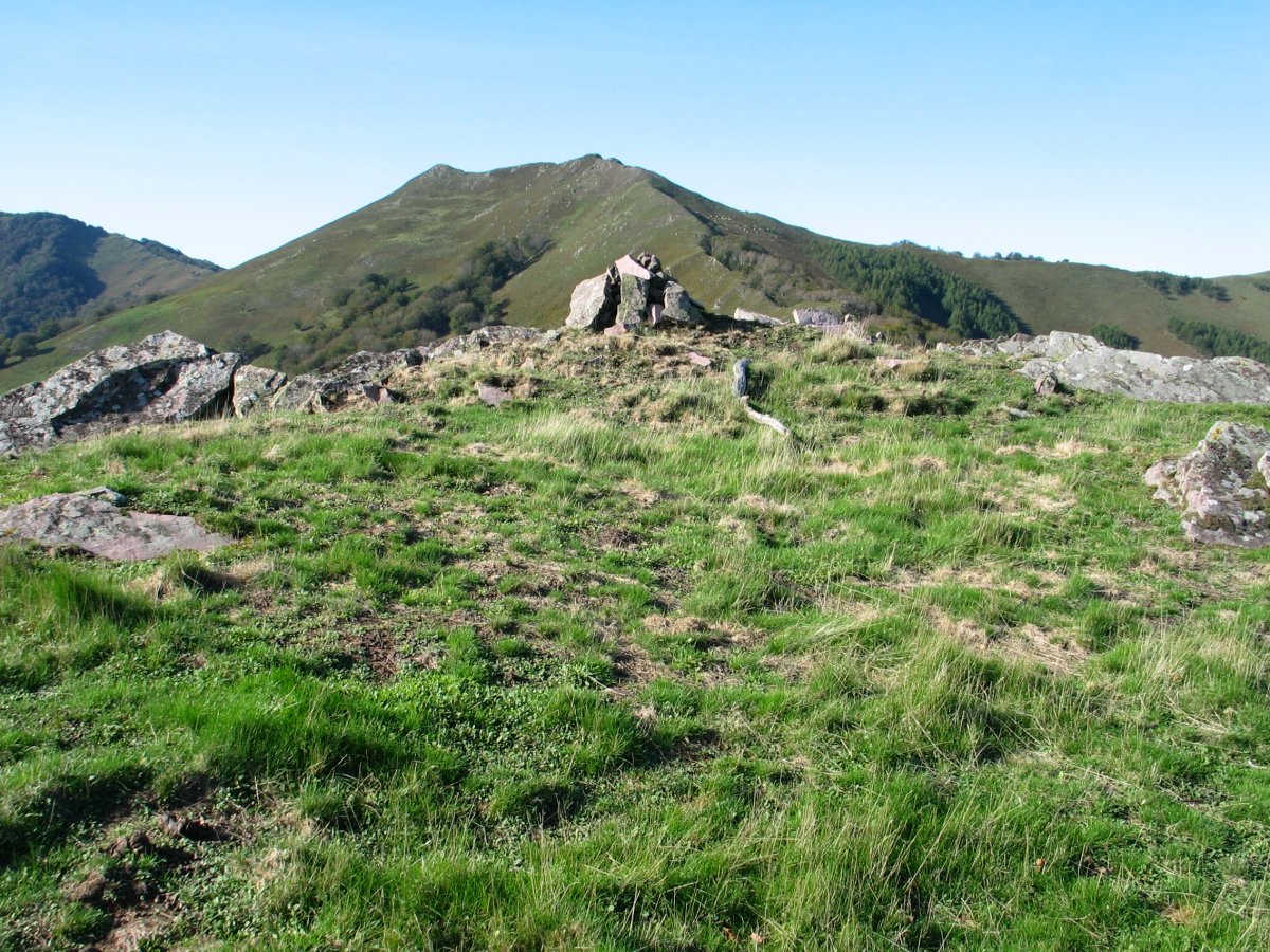 Oltzorrotz gaina 2005ean