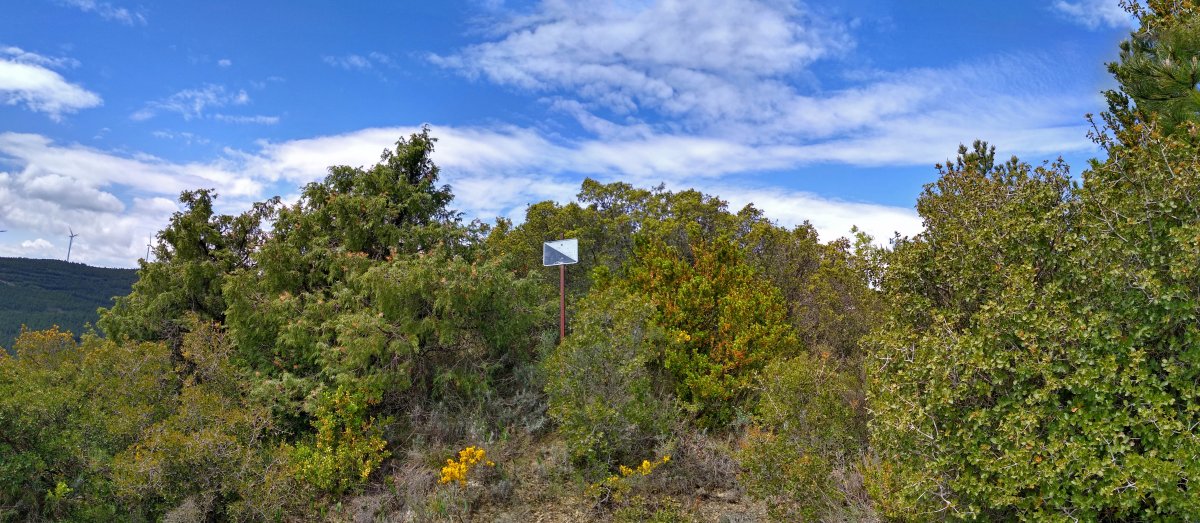 Santa Kruz, gainaldea