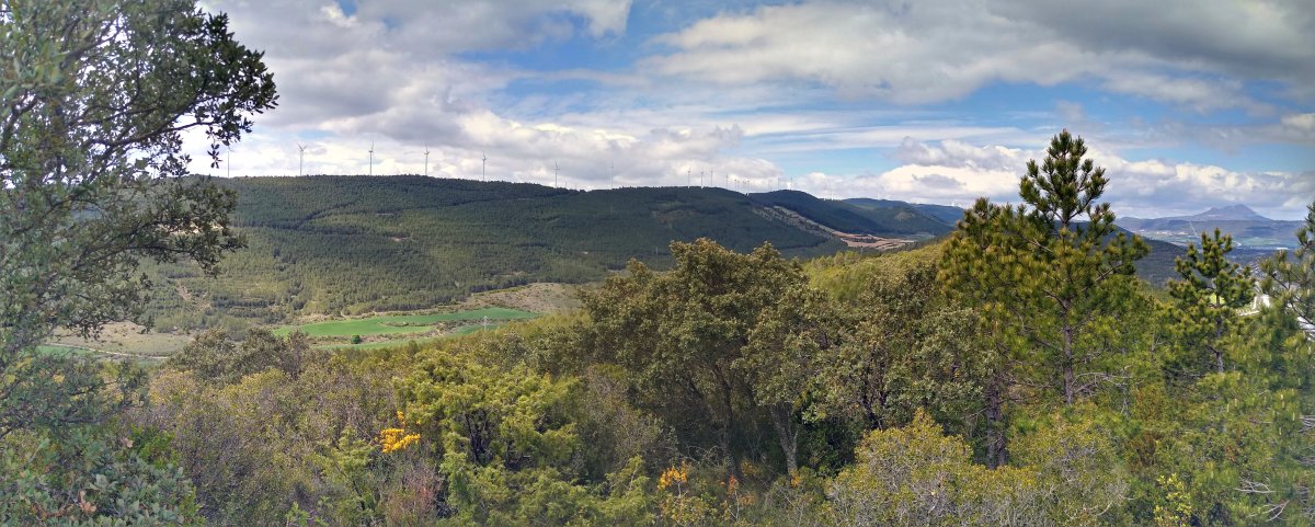 Paisaia mugatua gailurretik