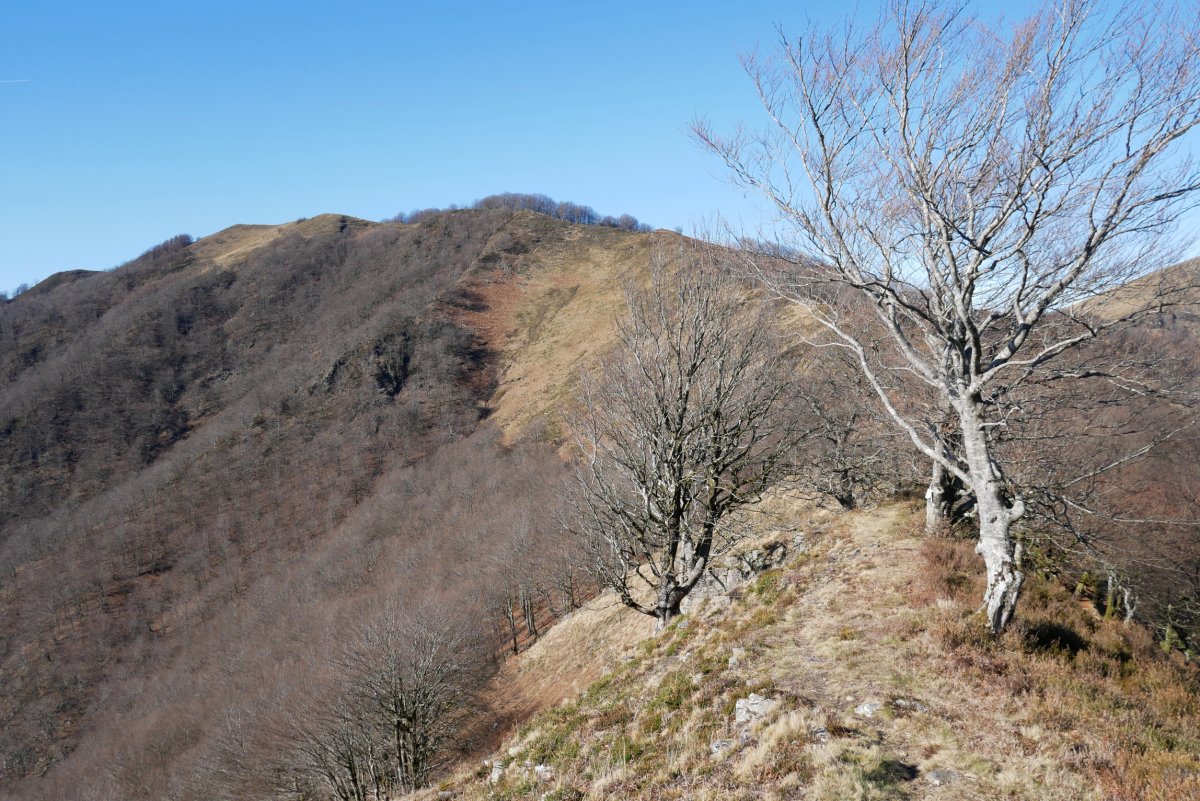 Arainburu Ekaitza aldeko bizkarretik