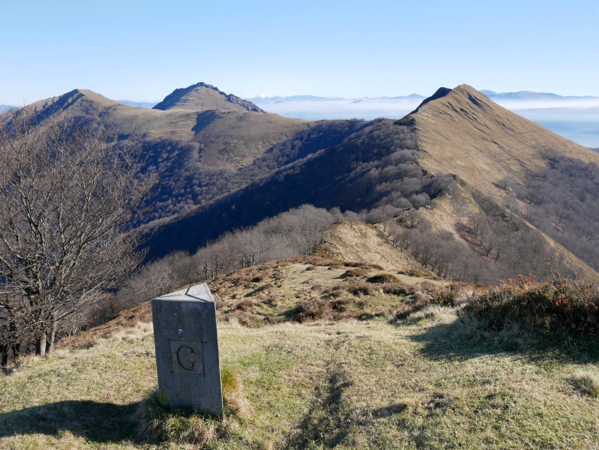 Hirumugarria, HEko bizkarrean