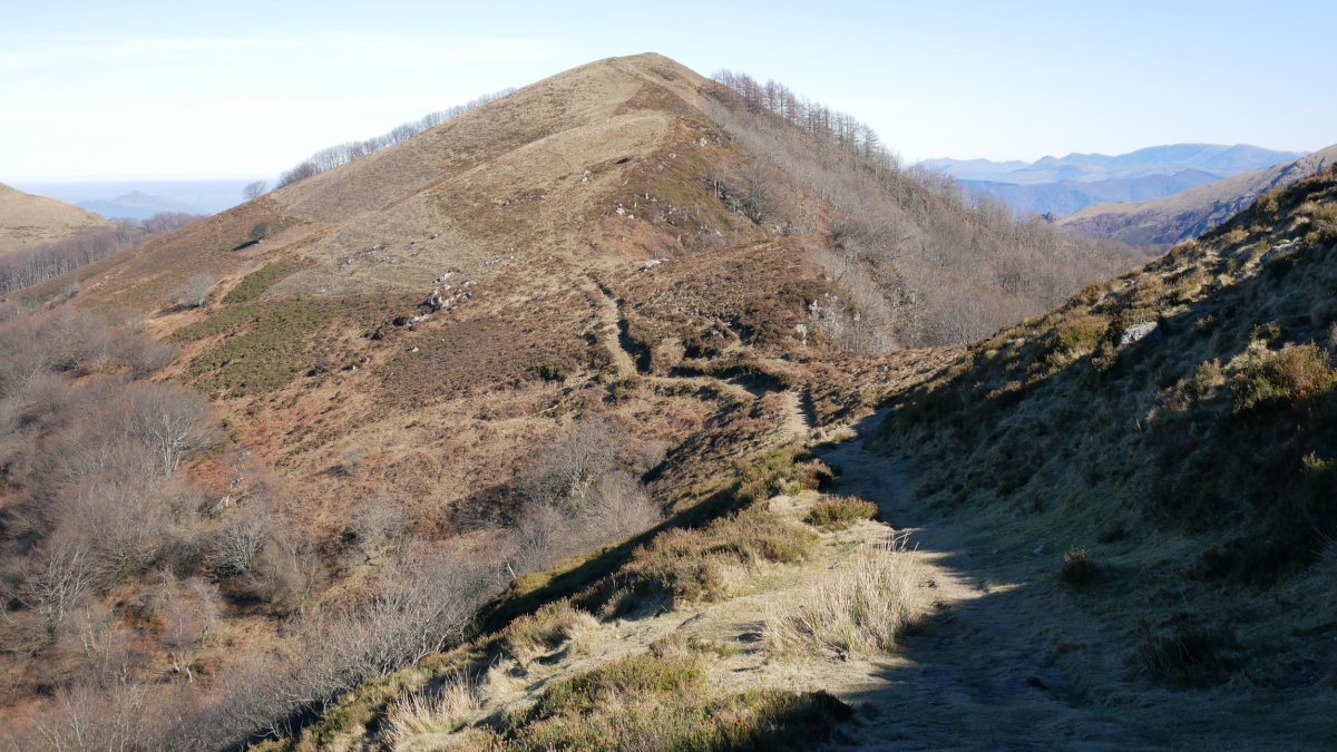 Arainburu Loitzate aldetik ikusita