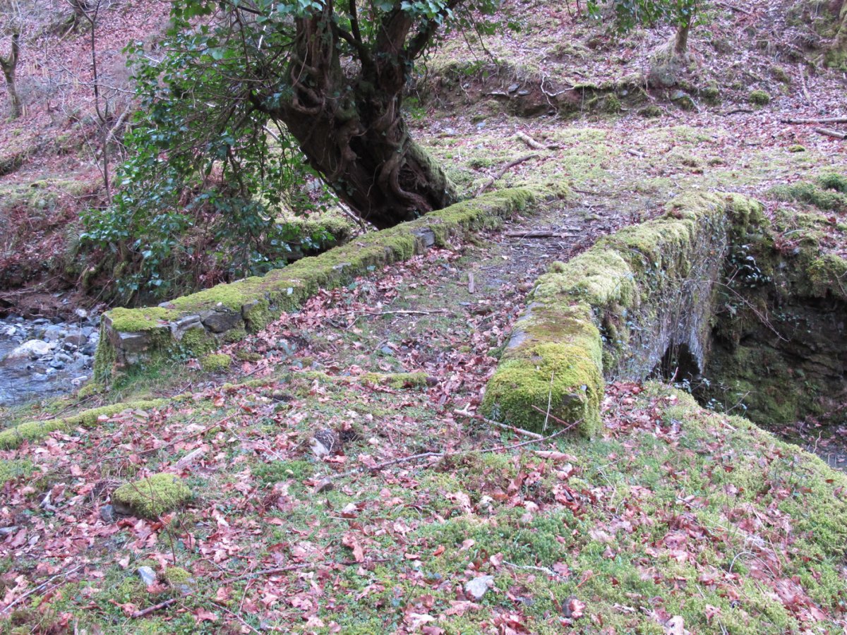 Errotako Zubia, Arano