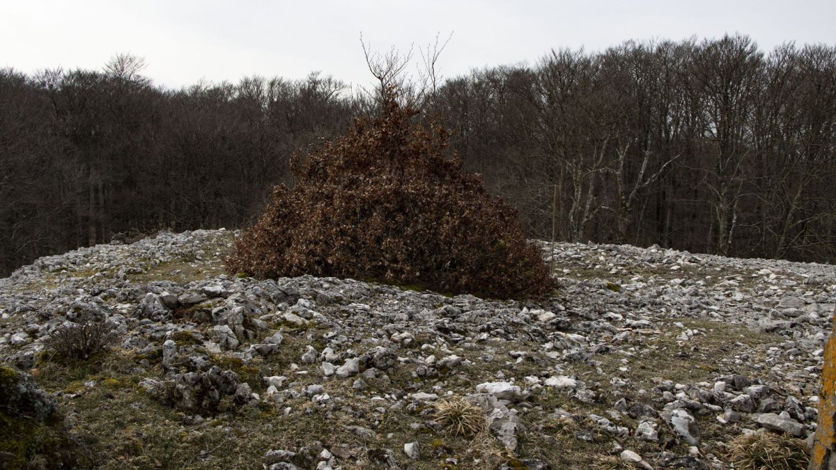 Las Tres Mugas eraztuna