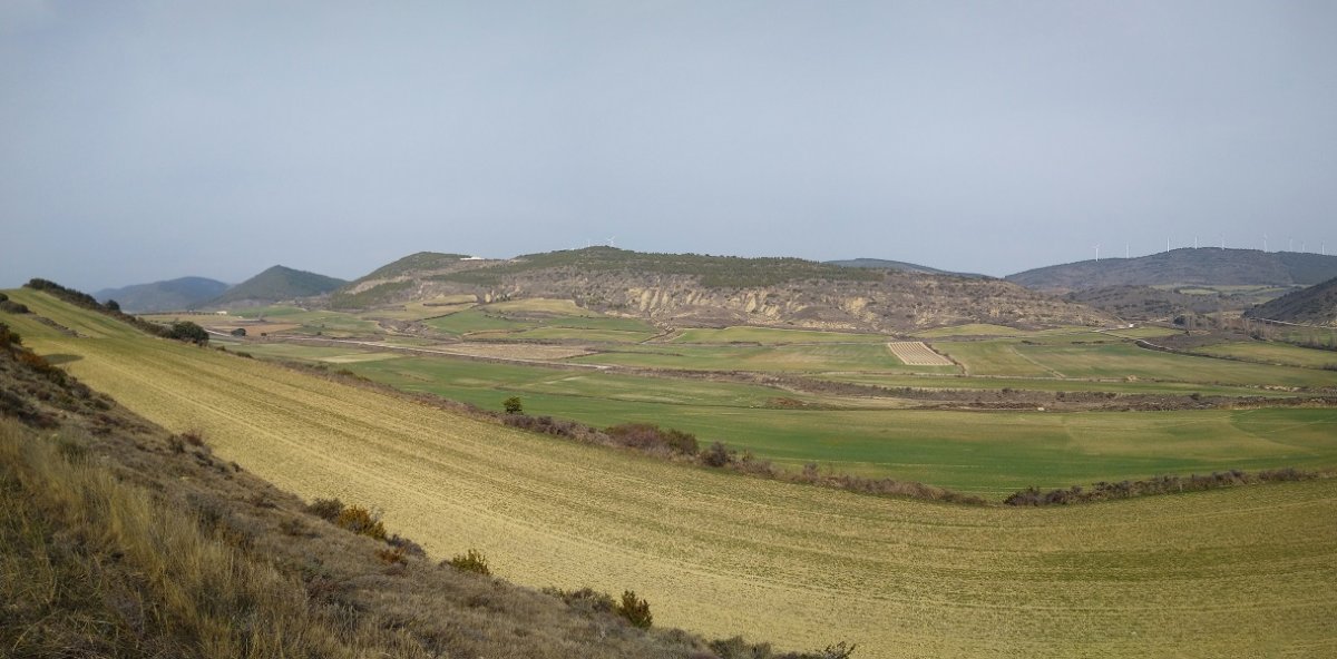 Oibar inguruko paisaia