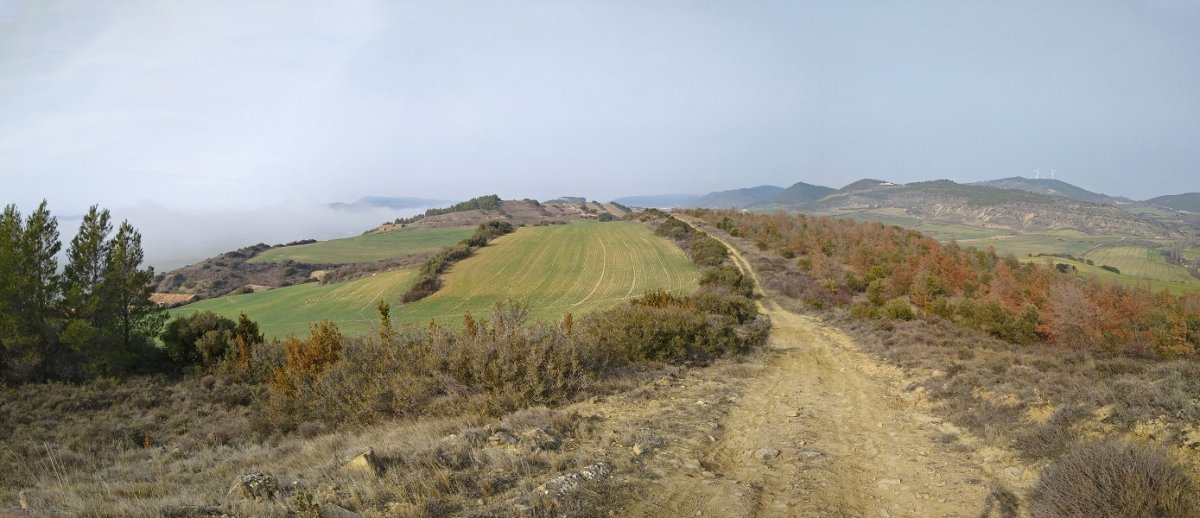 Unesati Oibar aldera