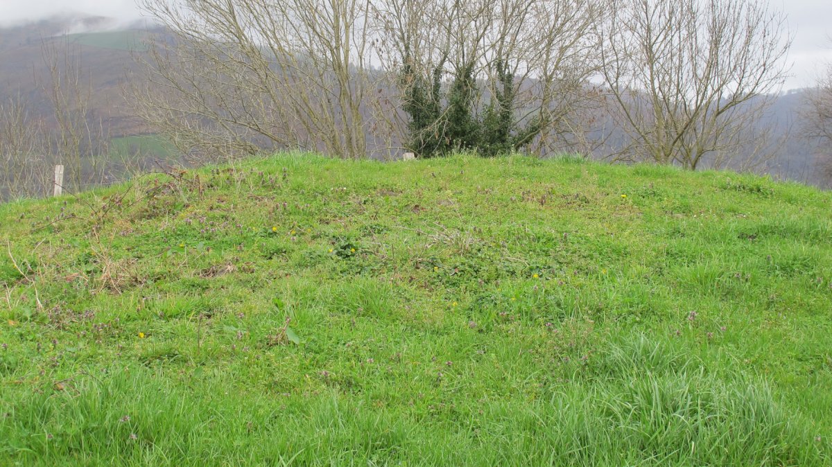 Etxeberriko Borda tumulua, Erratzu-Baztan