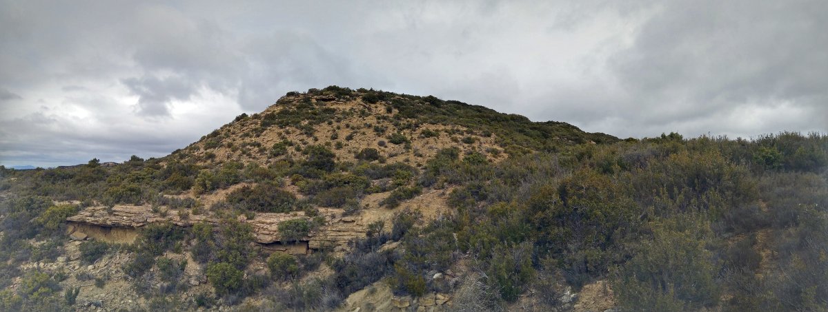 Hegian gora, biderik gabe