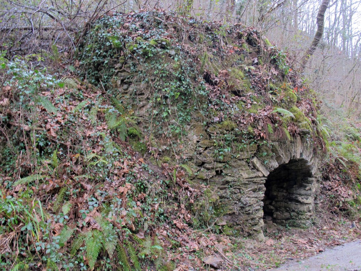 Ozkaritz II karobia, Etxalar