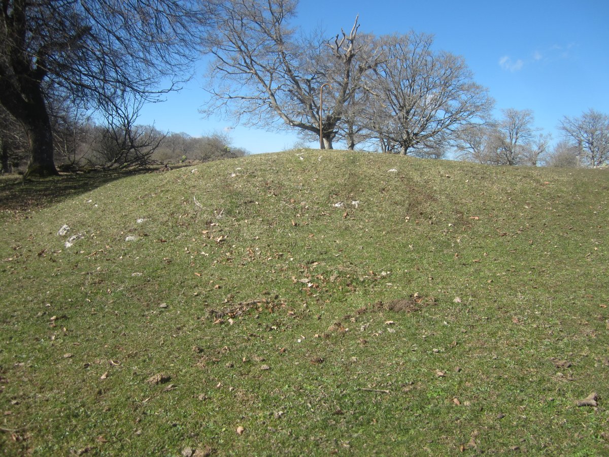 Fondo de Cabaña Raso de Ezpola  (Febrero 2022)