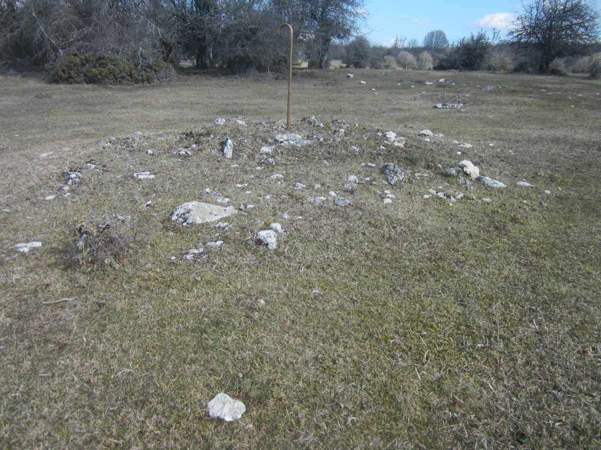 Campo Tumular Senda de Calleja nº 1 (Febrero 2022)
