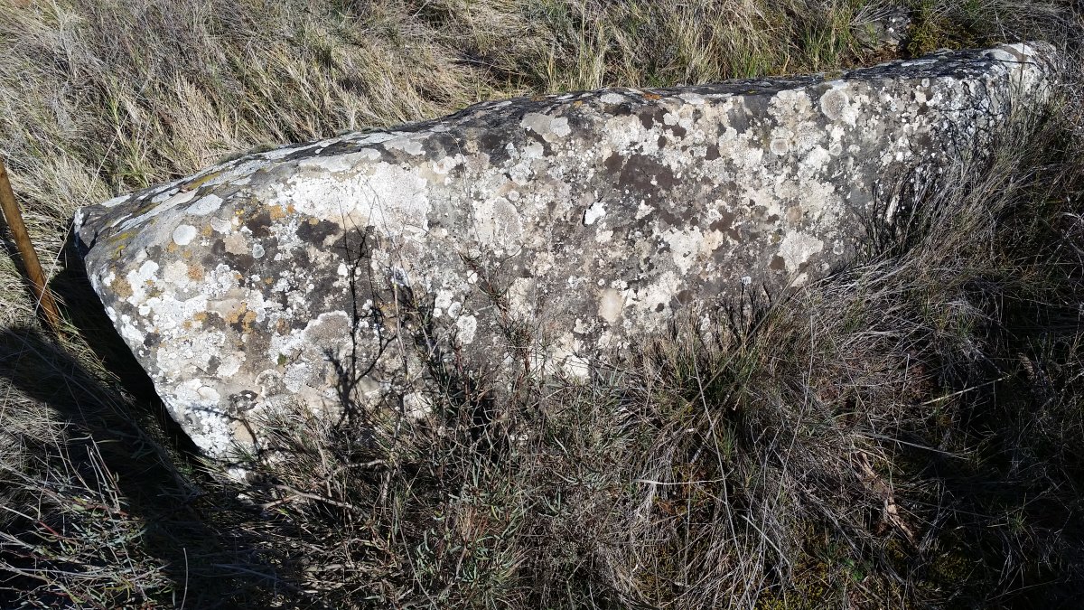 Monolito Onceta (Febrero 2022)