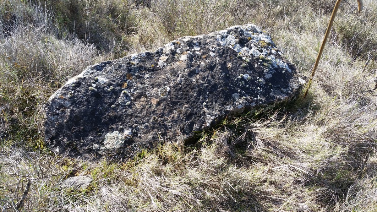 Monolito  Onceta  (Febrero 2022)