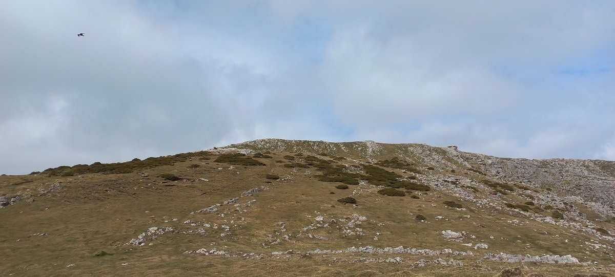 Mendiaundi (1307m) hurbiltzen
