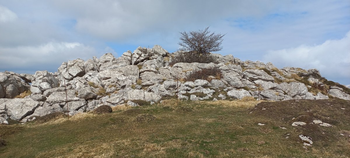 Kurutzeaga (1308m) tontorrera iristen