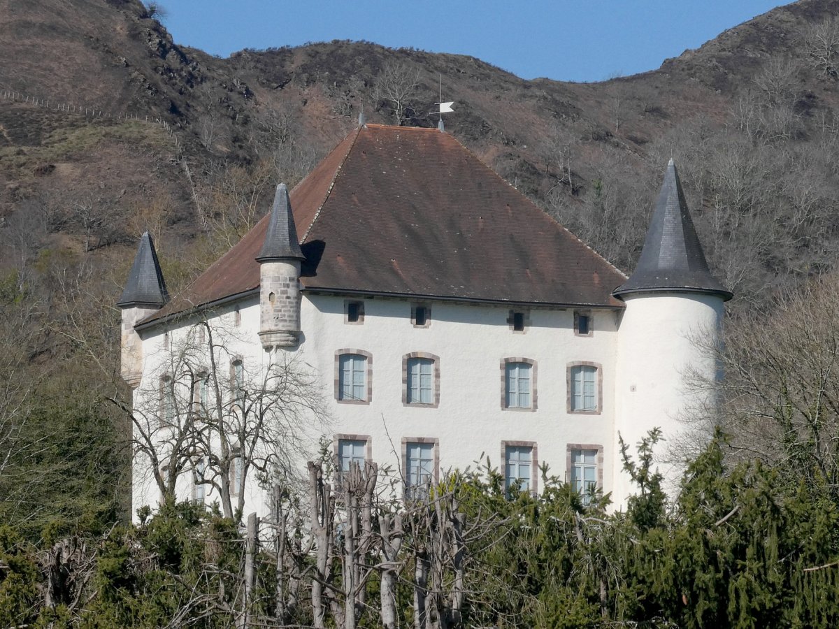 Etzauz Jauregia, Baigorri