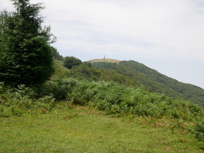 Saibi ekialdetik ikusita