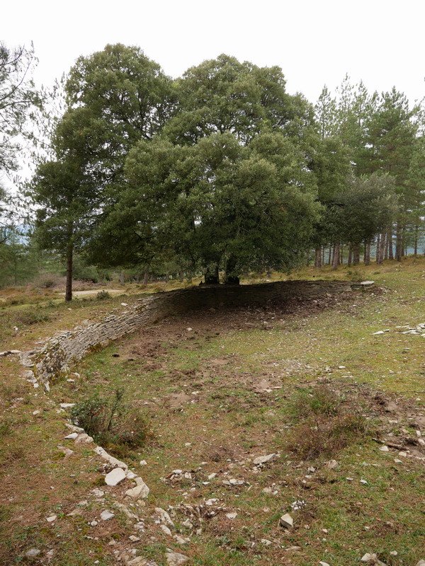 Itxidura bitxi baten hondakinak hego-mendebaldeko bidetik gertu